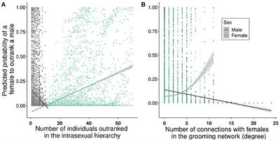 Dynamics of intersexual dominance in a highly dimorphic primate